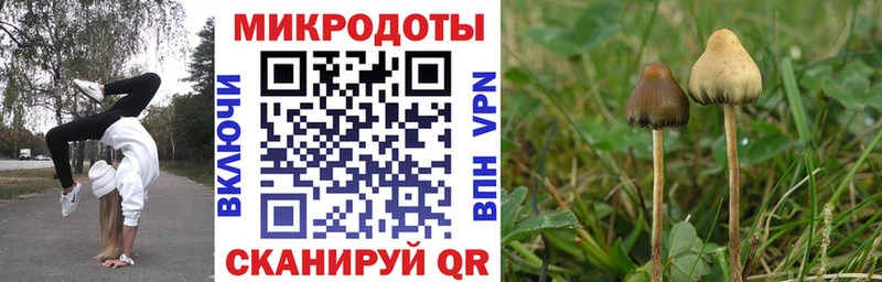 Псилоцибиновые грибы ЛСД  Пионерский 