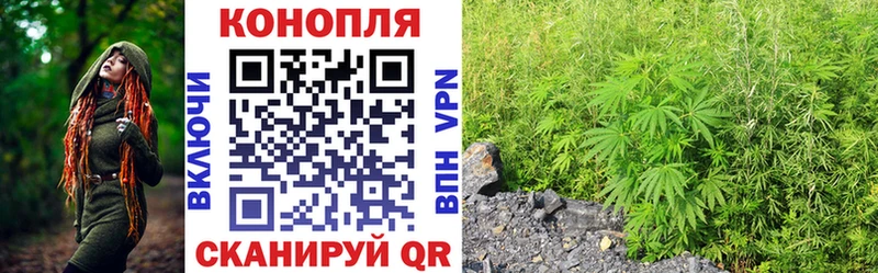 Бошки марихуана OG Kush  Пионерский 